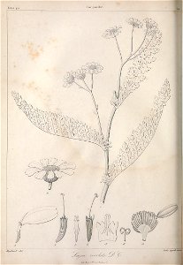 n451_w1150