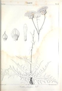 n650_w1150