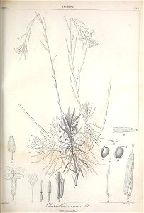 n288_w1150