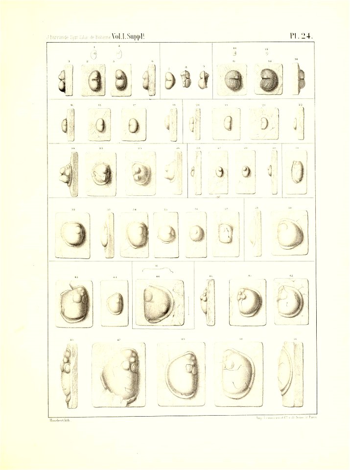 n104_w1150