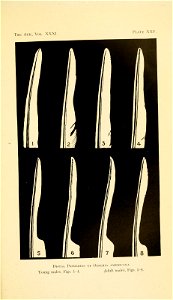 n410_w1150
