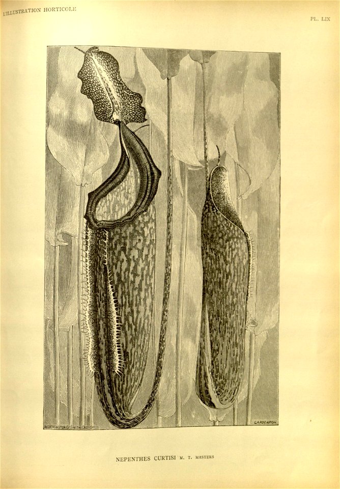 n115_w1150