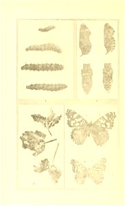 n129_w1150