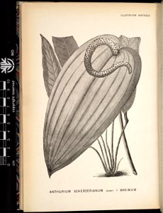 n110_w1150