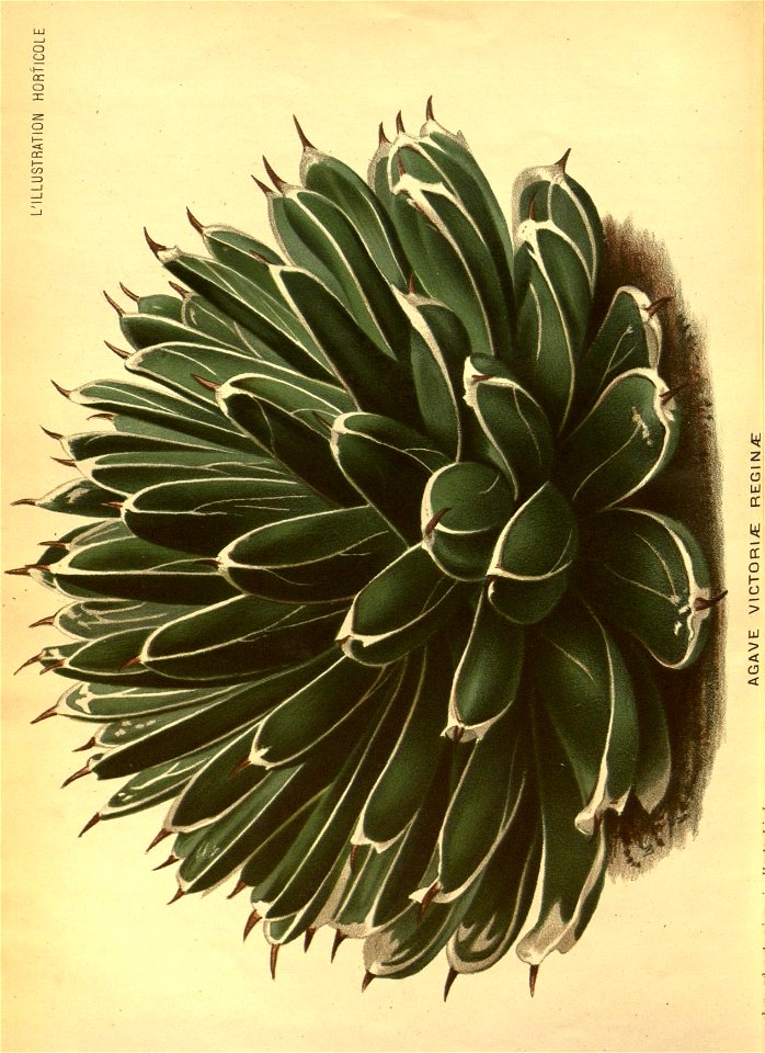 n46_w1150