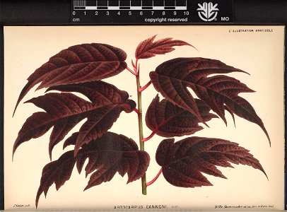 n87_w1150