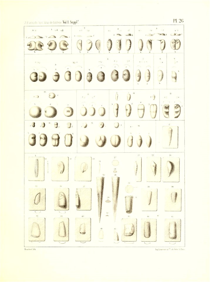 n112_w1150