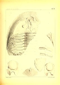 n142_w1150