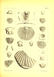 n198_w1150