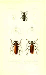 n464_w1150