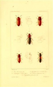 n698_w1150