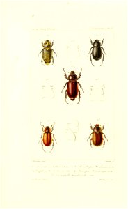 n578_w1150