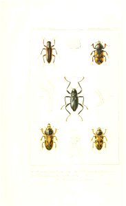 n492_w1150