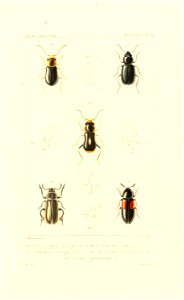 n636_w1150
