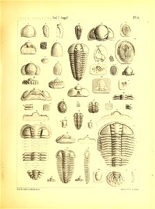 n40_w1150