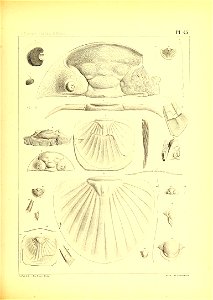 n190_w1150