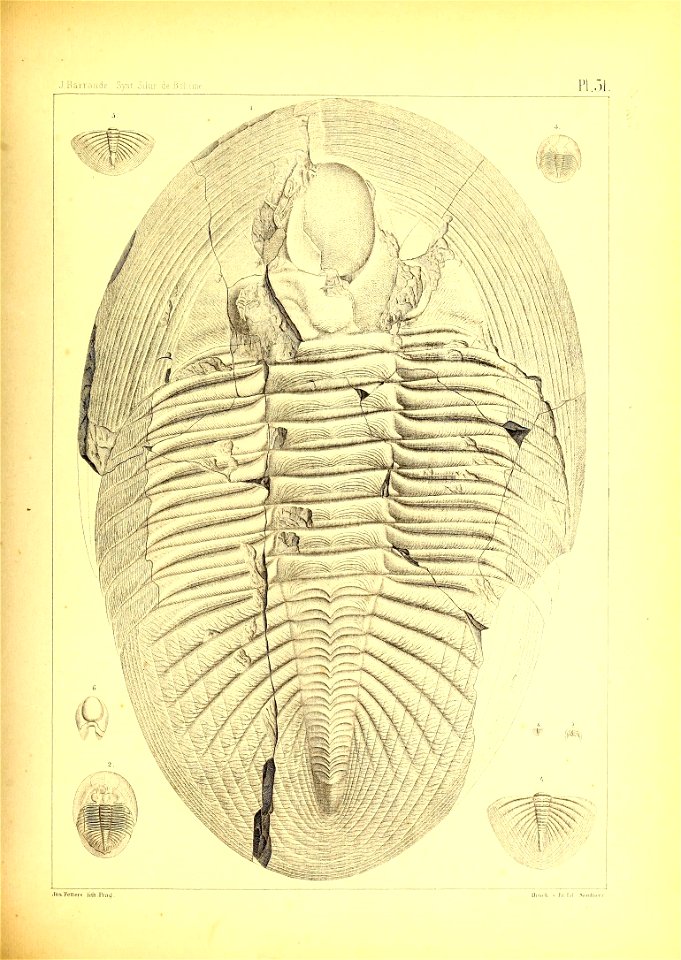 n134_w1150