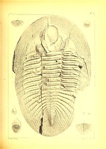 n134_w1150