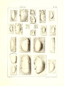 n96_w1150