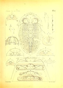 n10_w1150
