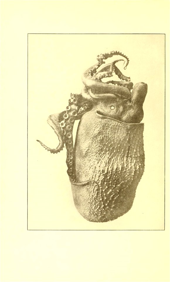 n13_w1150