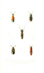 n404_w1150