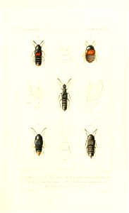 n374_w1150