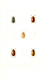 n564_w1150