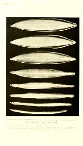 n437_w1150