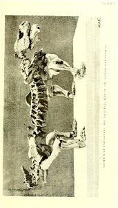 n42_w1150