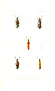 n402_w1150