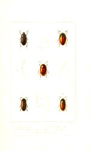 n562_w1150