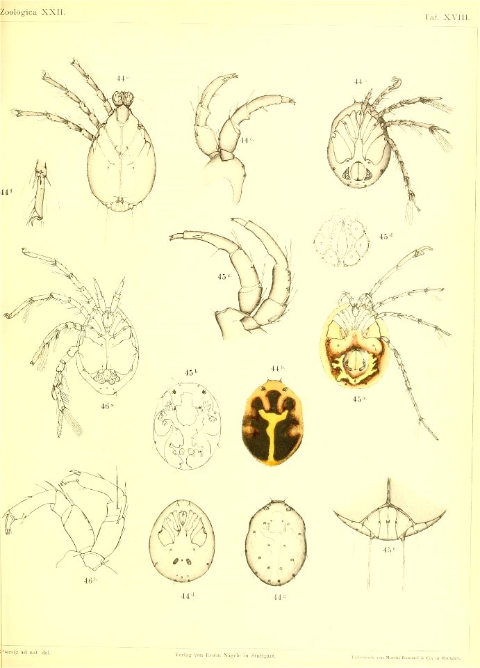 n588_w1150