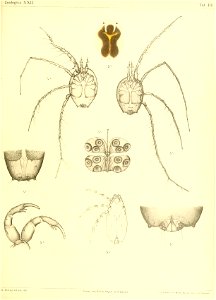n528_w1150