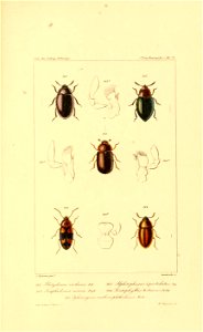n694_w1150