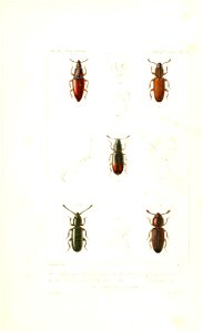 n458_w1150