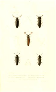 n602_w1150