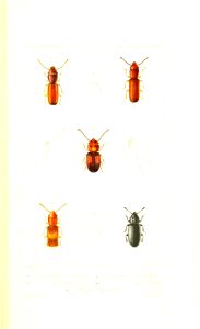 n456_w1150