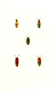 n366_w1150