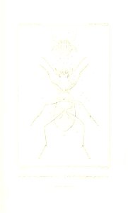 n466_w1150