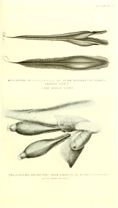 n392_w1150