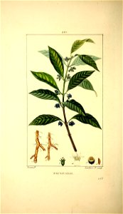 n179_w1150