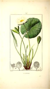 n105_w1150