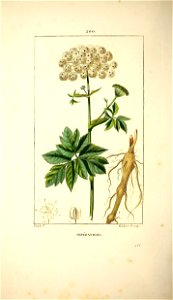 n173_w1150