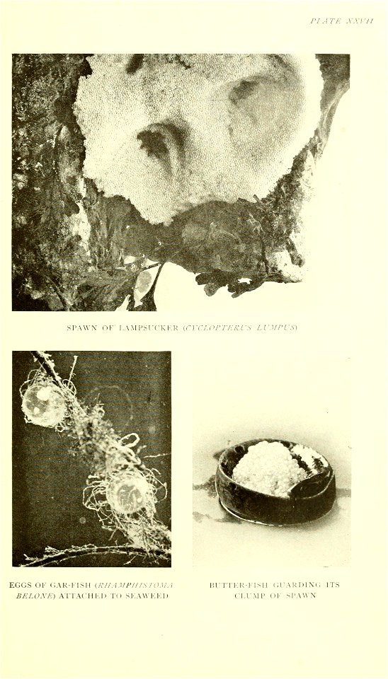 n402_w1150