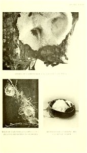n402_w1150