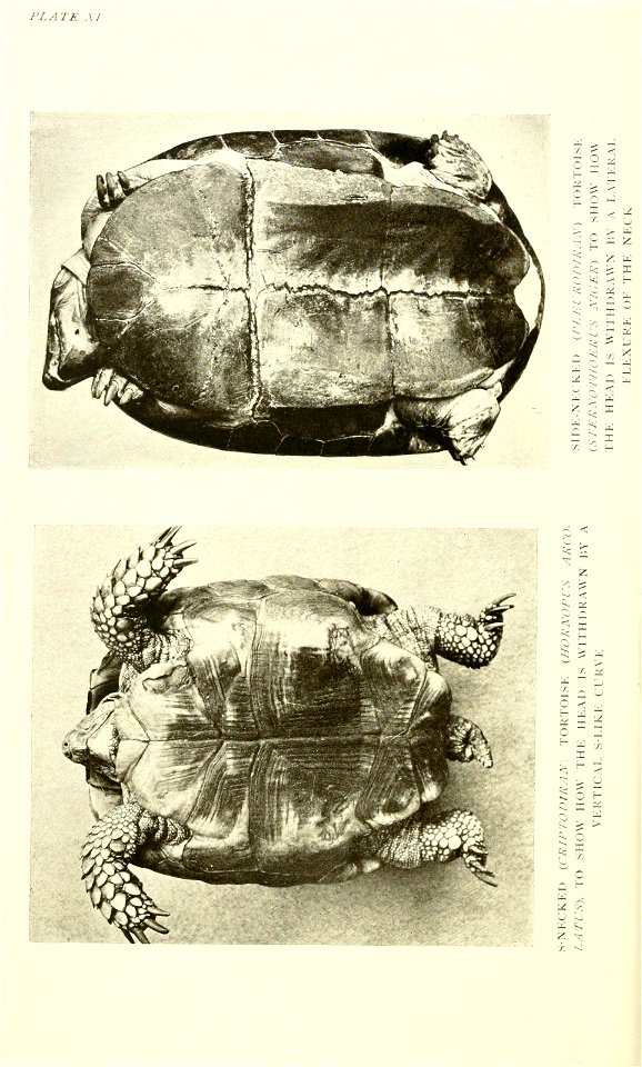 n173_w1150