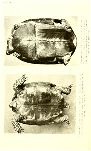 n173_w1150