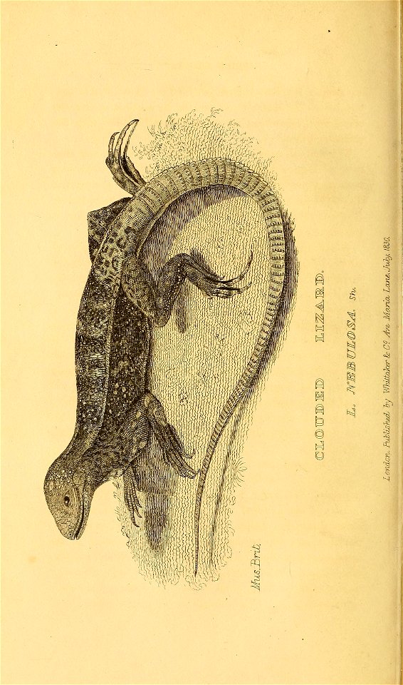 n311_w1150