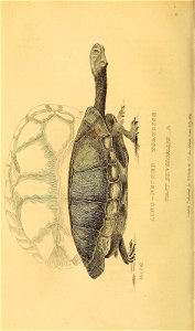 n139_w1150